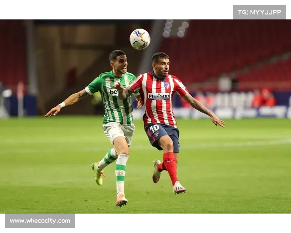 探究波尔蒂足球俱乐部为何拥有多个名称及其背后历史文化缘由解析